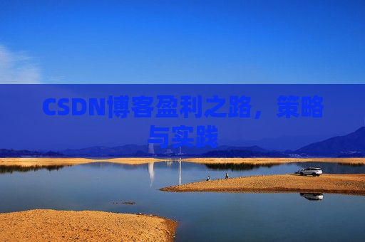 CSDN博客盈利之路，策略与实践